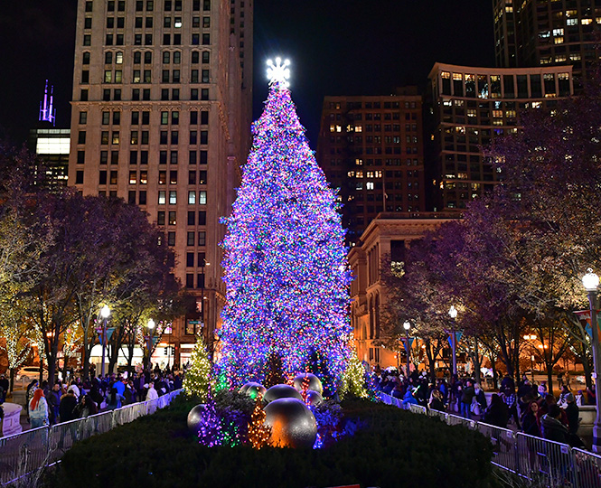 The City of Chicago Official Christmas Tree